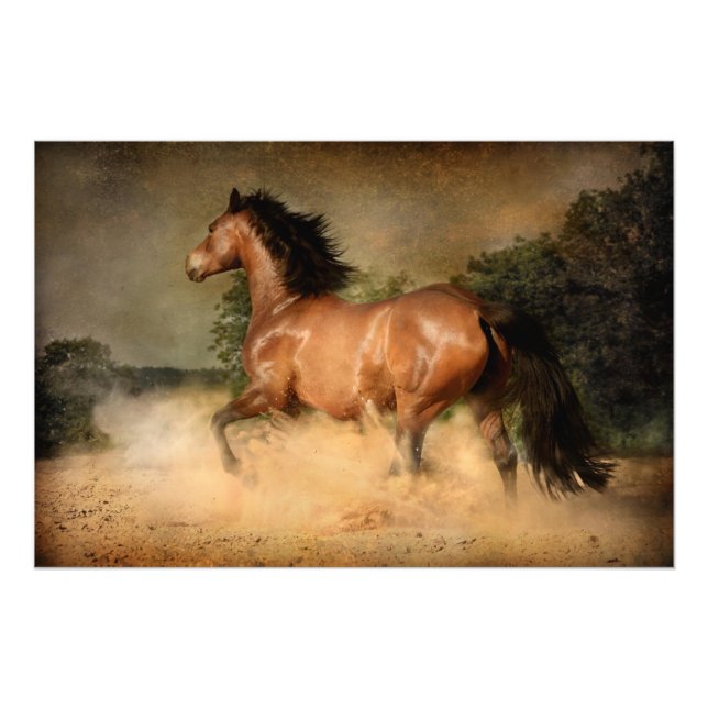 wild horse poster (Front)