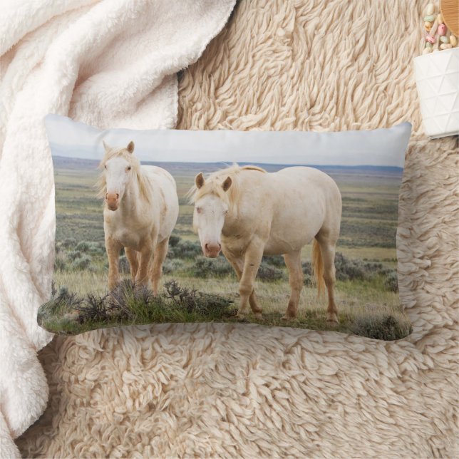 Wild Horse Roaming on the Priaire of Cody Lumbar Cushion (Blanket)