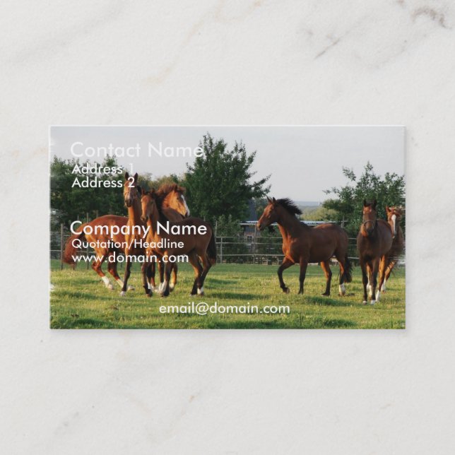 Wild Horse Round Up Business Card (Front)