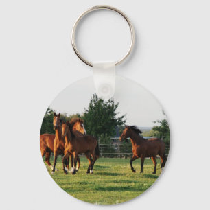 Wild Horse Roundup Keychain