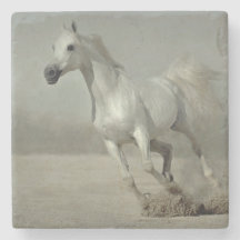 Wild Horse Running free