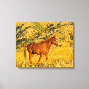 Wild Horse Sanctuary. Canvas Print