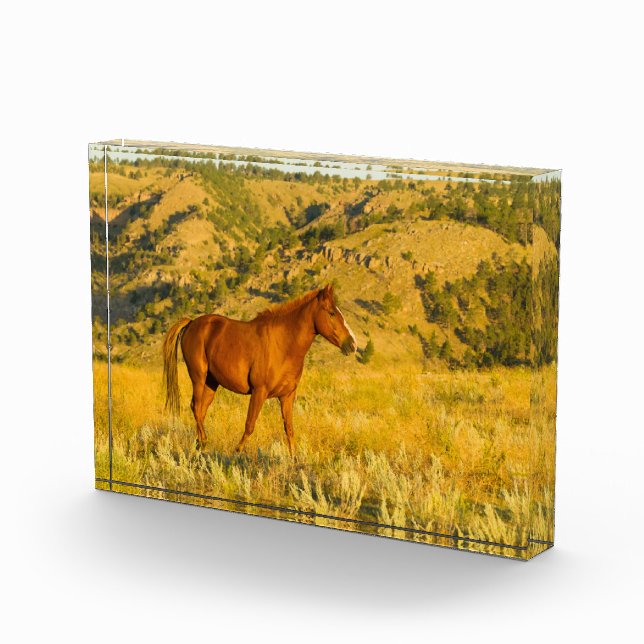 Wild Horse Sanctuary. Photo Block (Right)