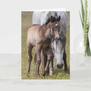 Wild Horse Serenity Card