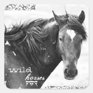 Wild Horse Southwest Photo Stickers
