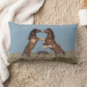 Wild Horse Stallions Fighting Lumbar Cushion