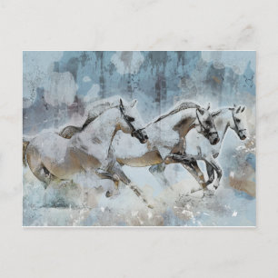 Wild Horse Stampede Western Postcard