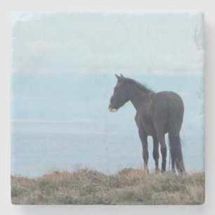 Wild Horse Stone Coaster