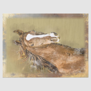 Wild Horse Tissue Paper