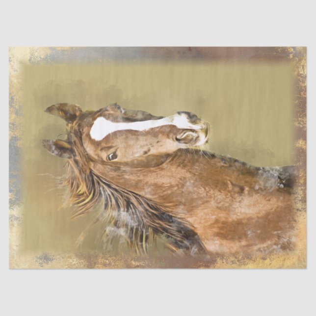 Wild Horse Tissue Paper (Front)