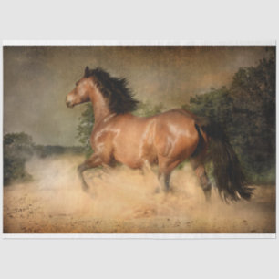 wild horse tissue paper