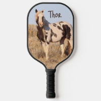 Wild Horse Traveller