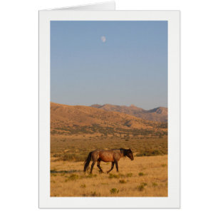 WILD HORSE WALKING WITH NEW MOON NOTECARD