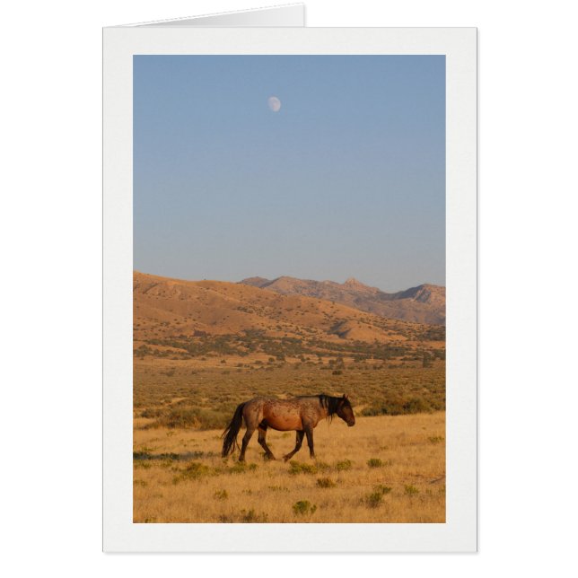 WILD HORSE WALKING WITH NEW MOON NOTECARD (Front)