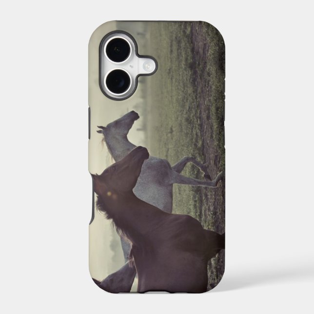 Wild horses (Back)