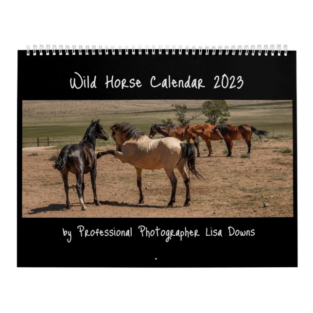 Wild Horses 2023 Calendar (Cover)
