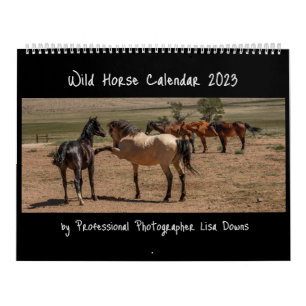 Wild Horses 2023 Calendar