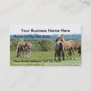 Wild Horses and foals Business Cards