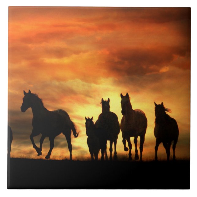 Wild Horses Art Tile (Front)
