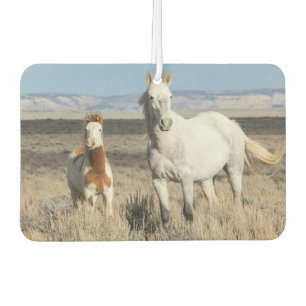 Wild Horses at Home in the Sandwash Basin Car Air Freshener