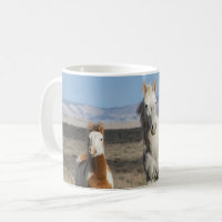 Wild Horses at Home in the Sandwash Basin