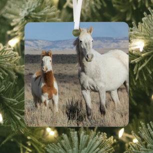 Wild Horses at Home in the Sandwash Basin Metal Tree Decoration