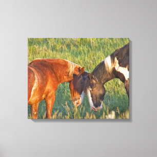Wild Horses at Theodore Roosevelt National Park Canvas Print