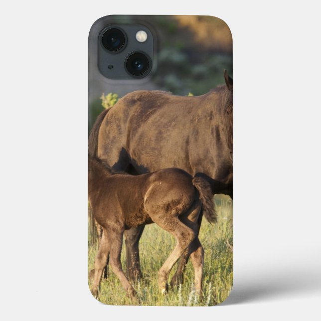 Wild Horses at Theodore Roosevelt National Park Case-Mate iPhone Case (Back)