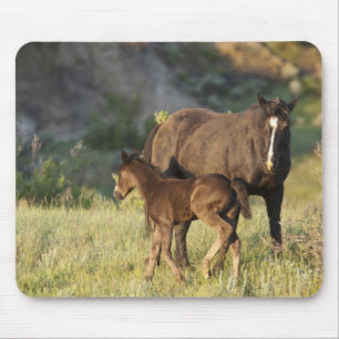 Wild Horses at Theodore Roosevelt National Park Mouse Mat