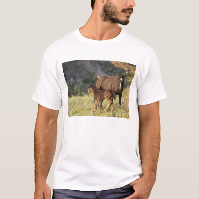Wild Horses at Theodore Roosevelt National Park T-Shirt (Front)