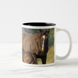 Wild Horses at Theodore Roosevelt National Park Two-Tone Coffee Mug