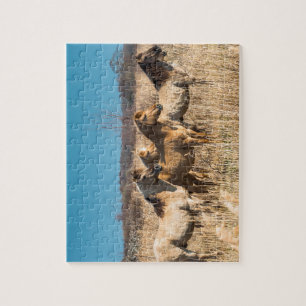 Wild horses at Wicken Fen, England, UK Jigsaw Puzzle