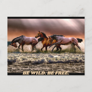 Wild horses - be wild. be free. postcard