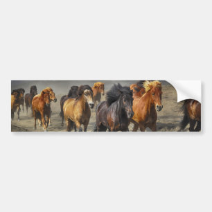 Wild horses bumper sticker