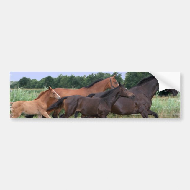 Wild Horses Bumper Sticker (Front)