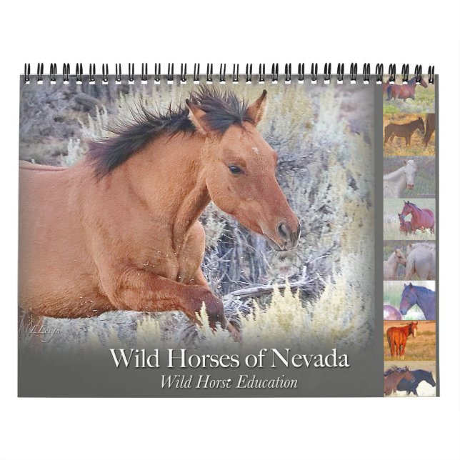 Wild Horses, calendar  (Cover)