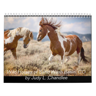 Wild Horses Calendar
