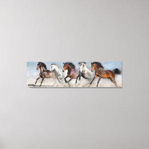 Wild Horses Canvas Print