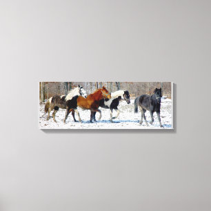Wild Horses Canvas Print