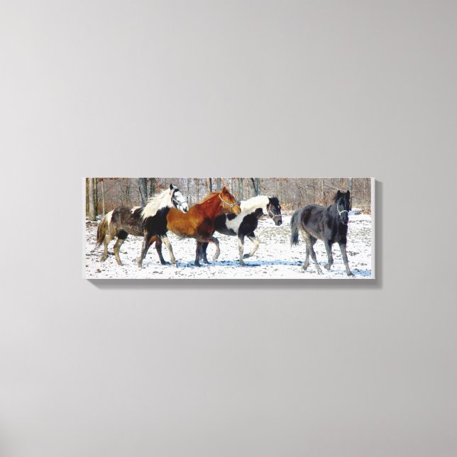 Wild Horses Canvas Print (Front)
