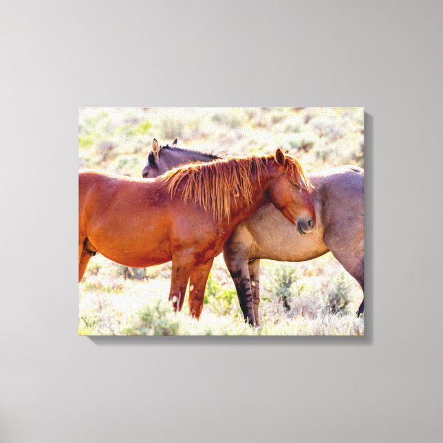 Wild Horses Canvas Print (Front)