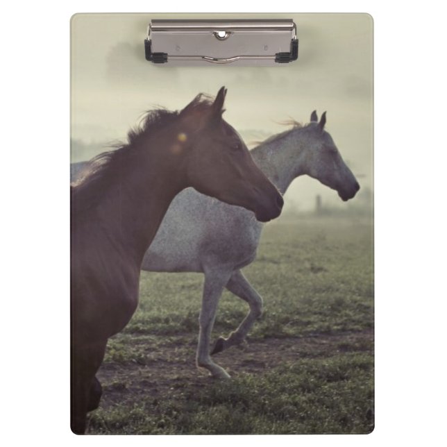 Wild horses clipboard (Front)