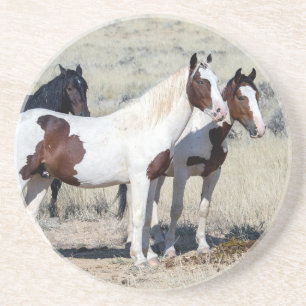 WILD HORSES COASTER