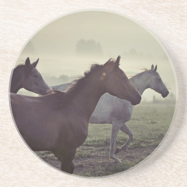Wild horses coaster (Front)