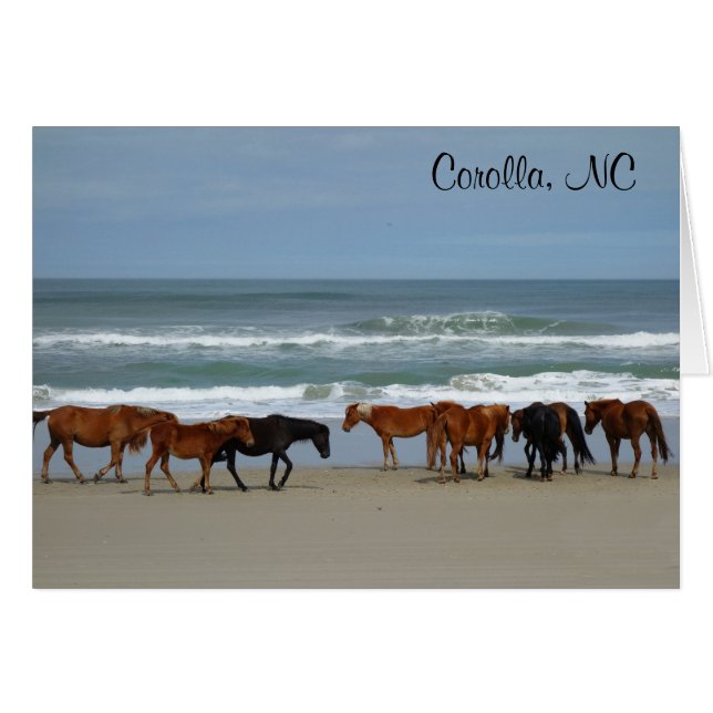 Wild Horses Corolla NC card (Front Horizontal)