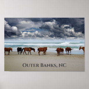 Wild Horses Corolla Outer Banks NC Poster