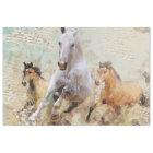 Wild Horses - Decoupage Design