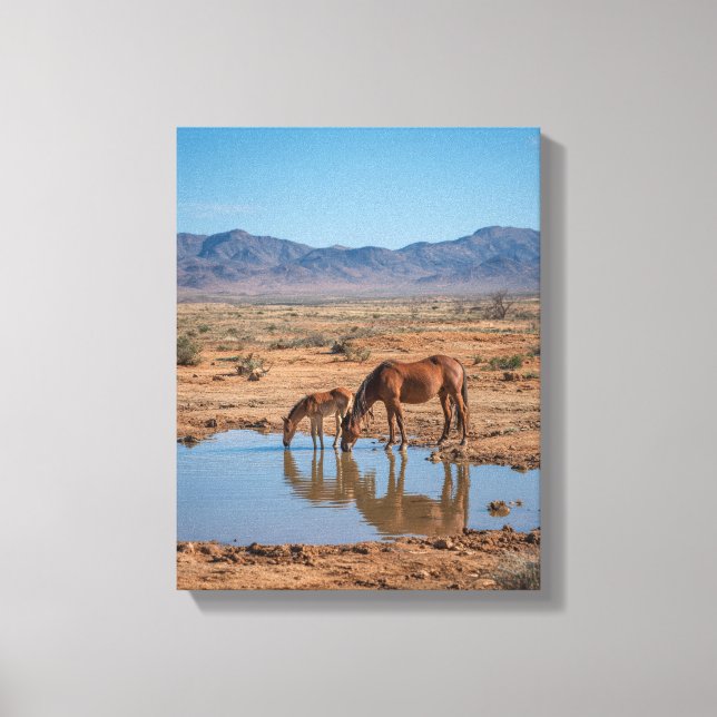 Wild Horses Desert Water Reflection Art Canvas Print (Front)