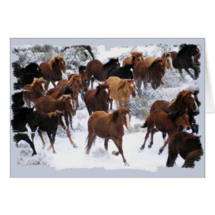 Wild Horses Driven