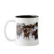 Wild Horses Driven